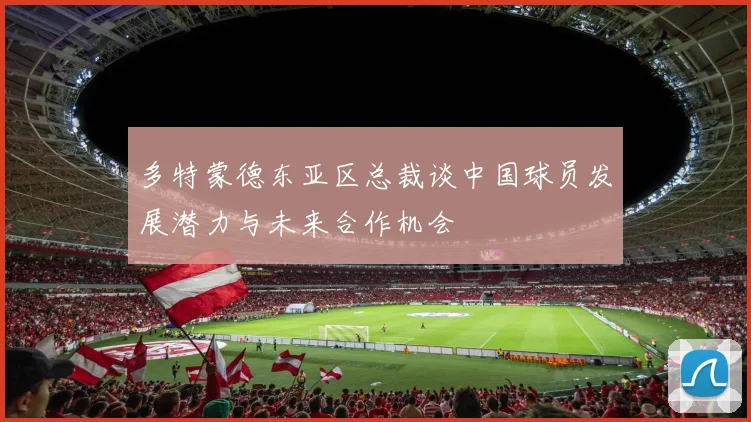 多特蒙德东亚区总裁谈中国球员发展潜力与未来合作机会